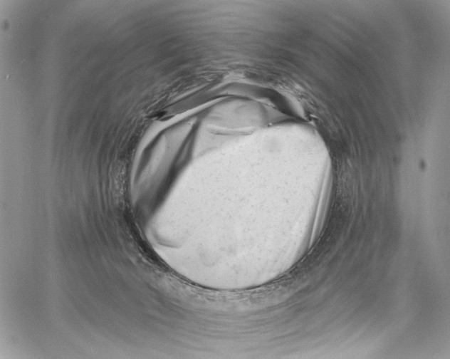 X0000058770030200510211734