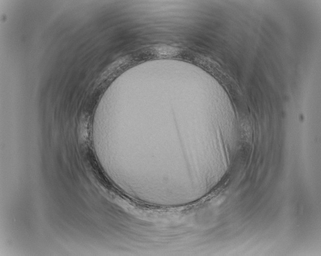 X0000058770032200510211734