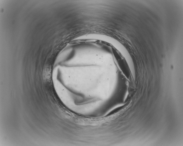 X0000058770033200510211734
