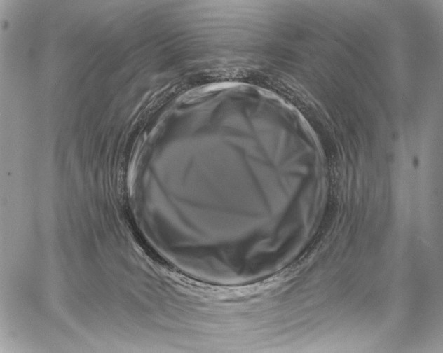 X0000058770035200510211734