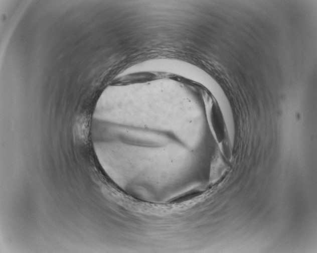 X0000058770037200510211734