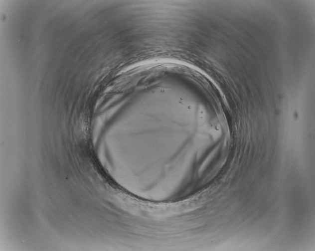 X0000058770039200510211734