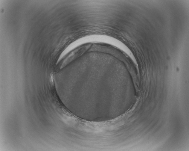 X0000058770041200510211734