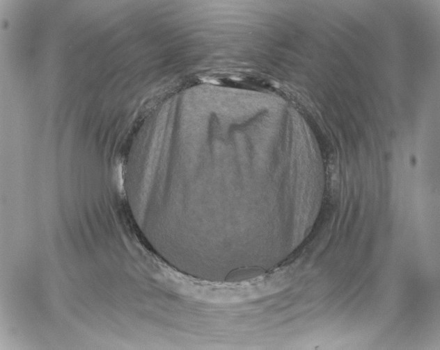 X0000058770042200510211734