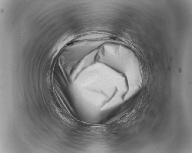 X0000058770050200510211733