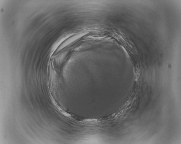 X0000058770052200510211733