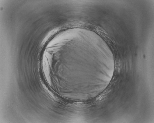 X0000058770054200510211733