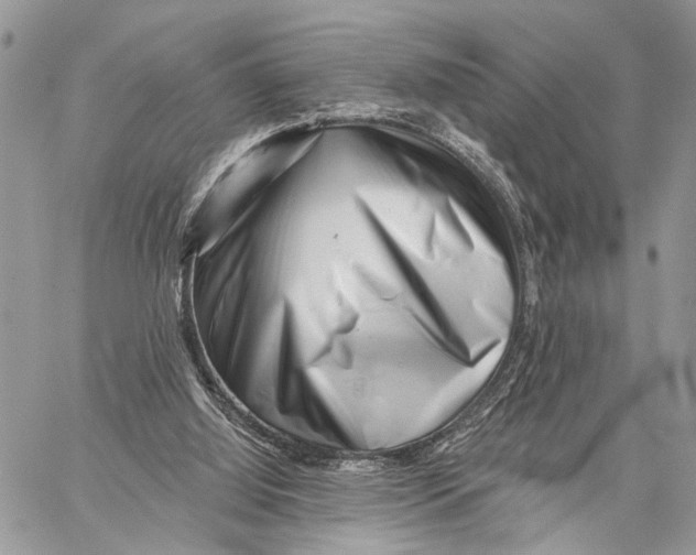 X0000058770060200510211733