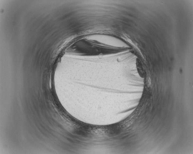 X0000058770062200510211733