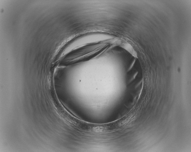 X0000058770064200510211733