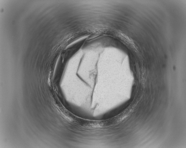 X0000058770065200510211733
