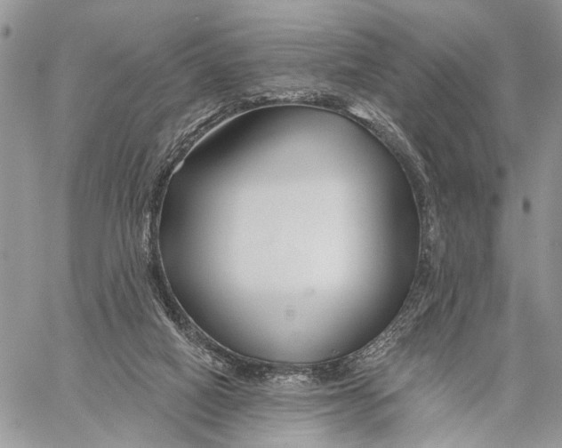 X0000058770066200510211733