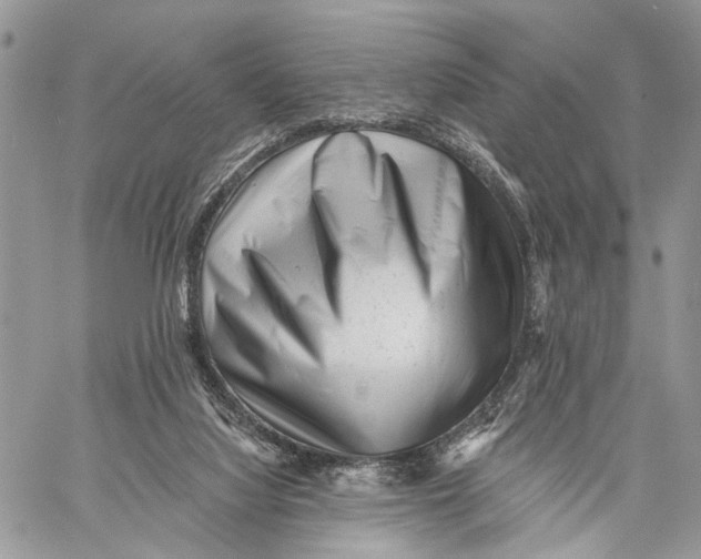 X0000058770068200510211733