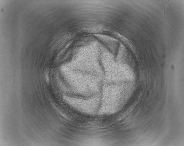 X0000058770069200510211733