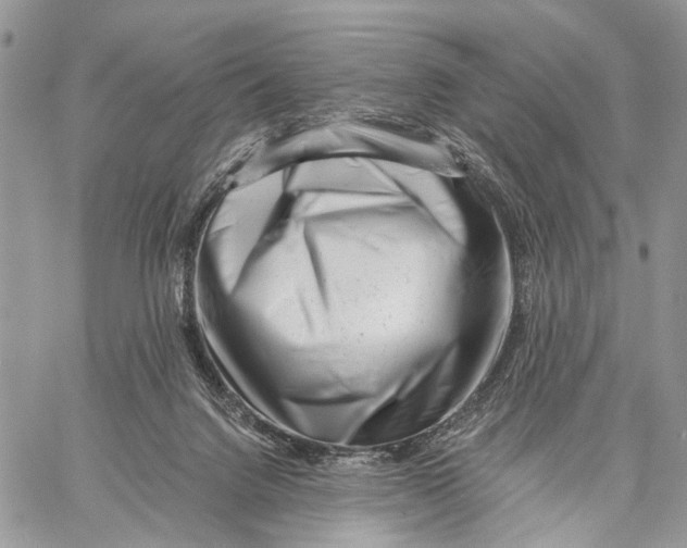 X0000058770072200510211733