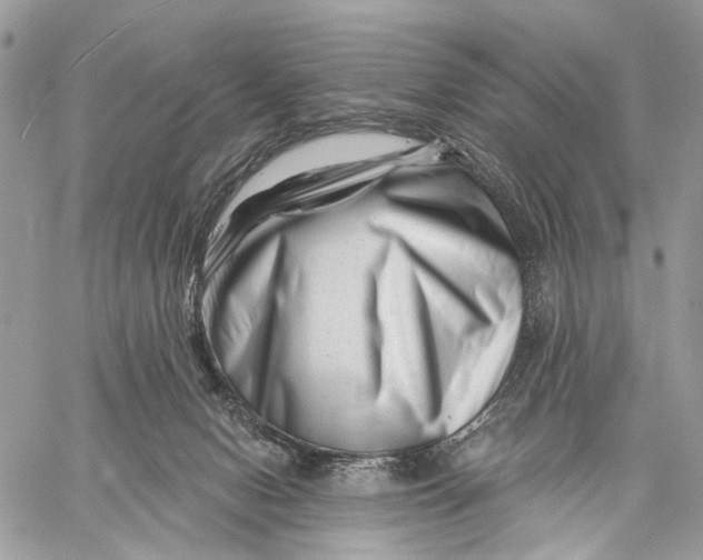 X0000058770078200510211733