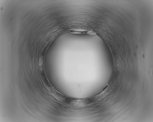X0000058770082200510211733