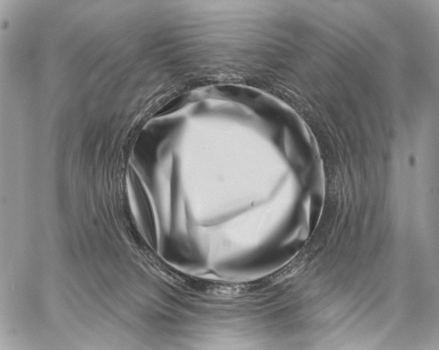 X0000058770084200510211733
