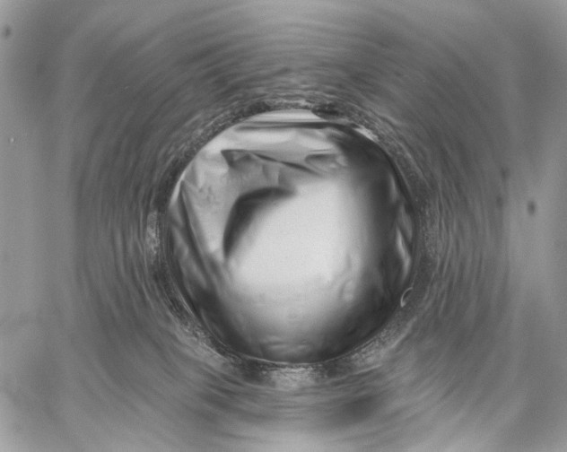 X0000058770085200510211734