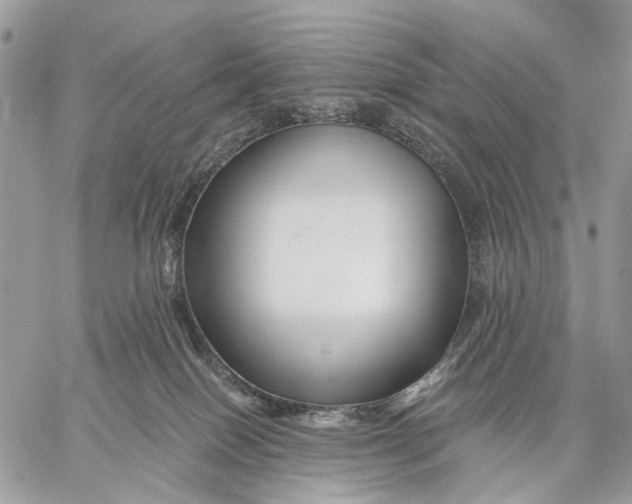 X0000058770086200510211734