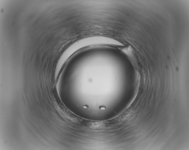 X0000058770088200510211734