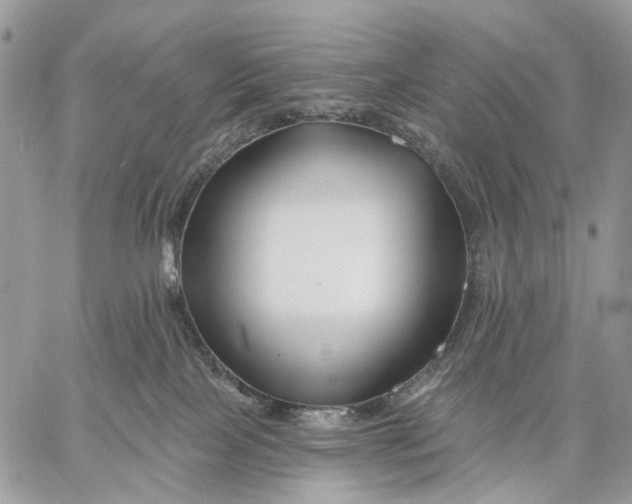 X0000058770089200510211734