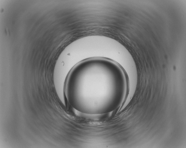 X0000058770091200510211734