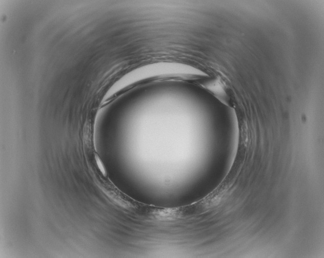 X0000058770092200510211734