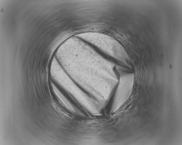 X0000058770100200510211733