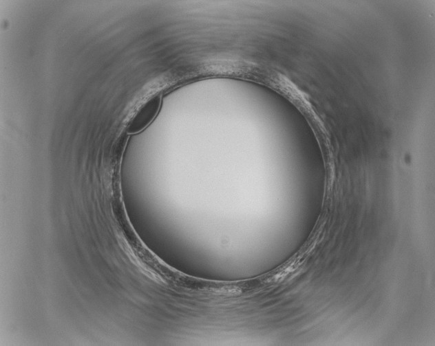 X0000058770106200510211733