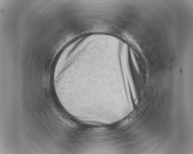 X0000058770108200510211733