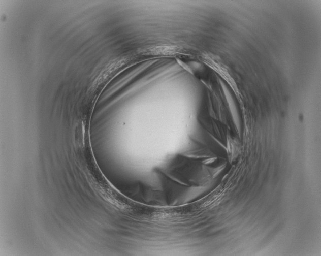 X0000058770109200510211733