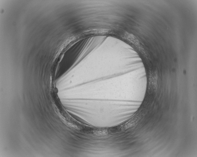 X0000058770110200510211733