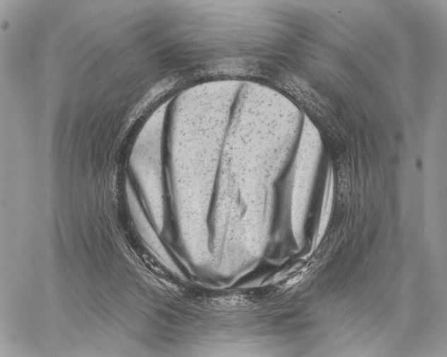 X0000058770112200510211733