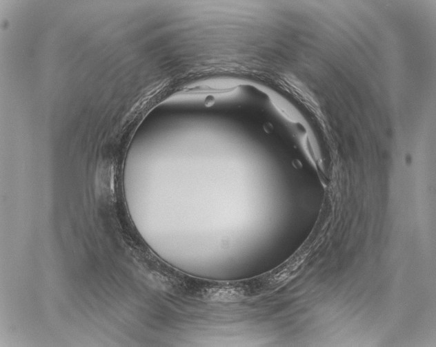 X0000058770115200510211733