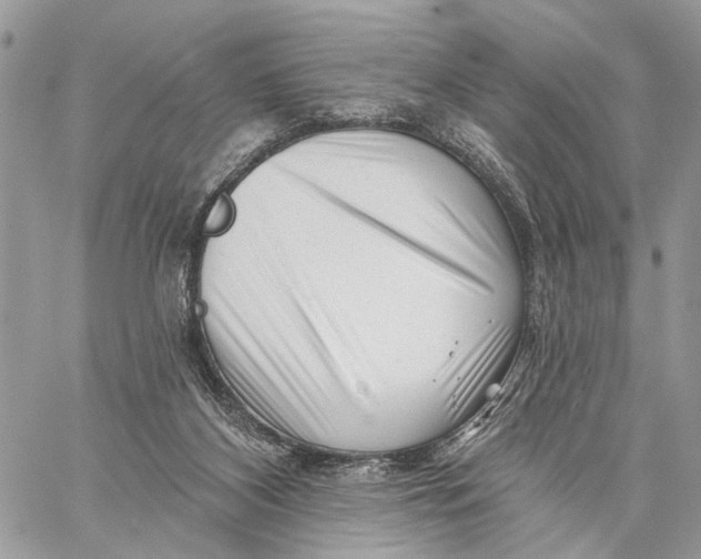 X0000058770116200510211733