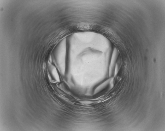 X0000058770125200510211732