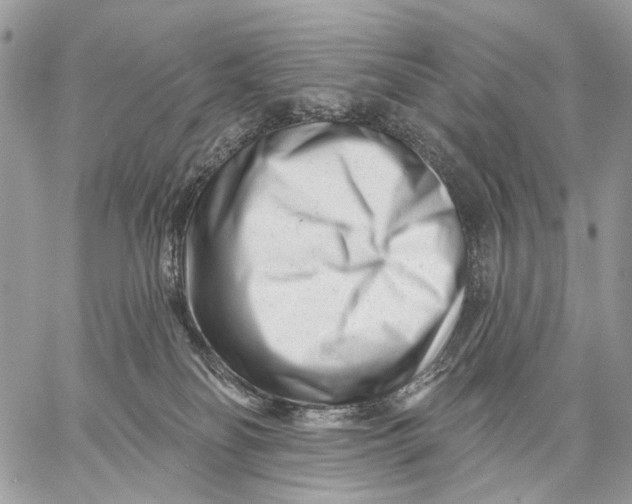 X0000058770134200510211732