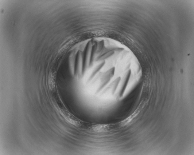 X0000058770136200510211732