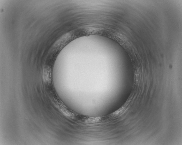X0000058770138200510211732