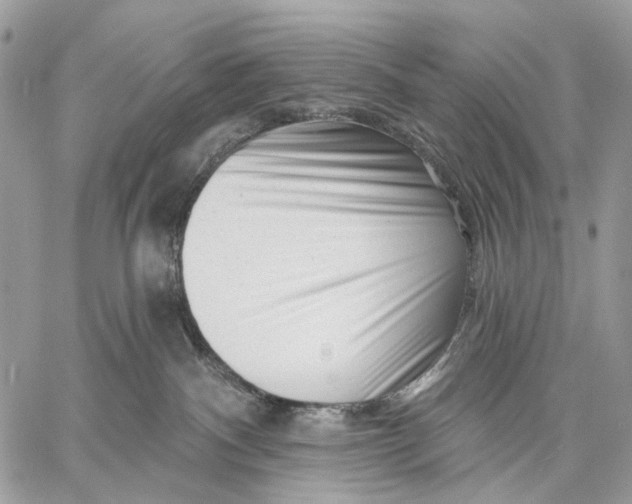 X0000058770140200510211732