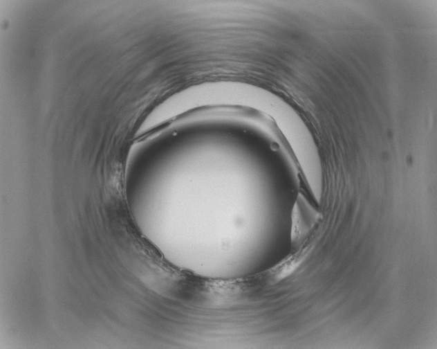 X0000058770141200510211732
