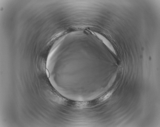 X0000058770143200510211732