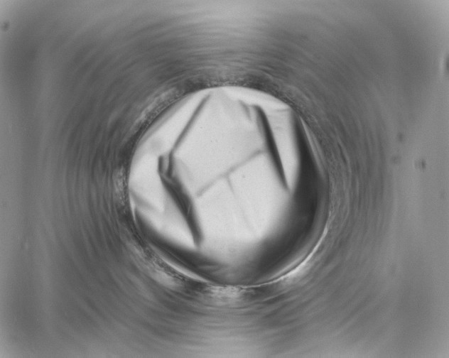 X0000058770144200510211732