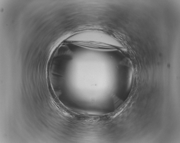 X0000058770148200510211731
