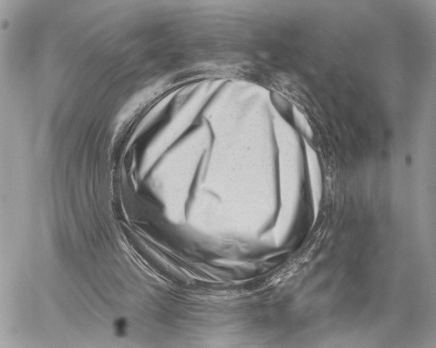 X0000058770149200510211731