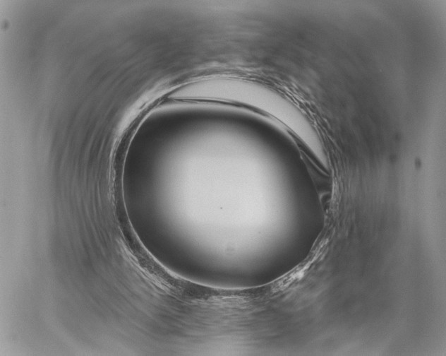 X0000058770150200510211731