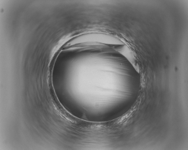 X0000058770152200510211731