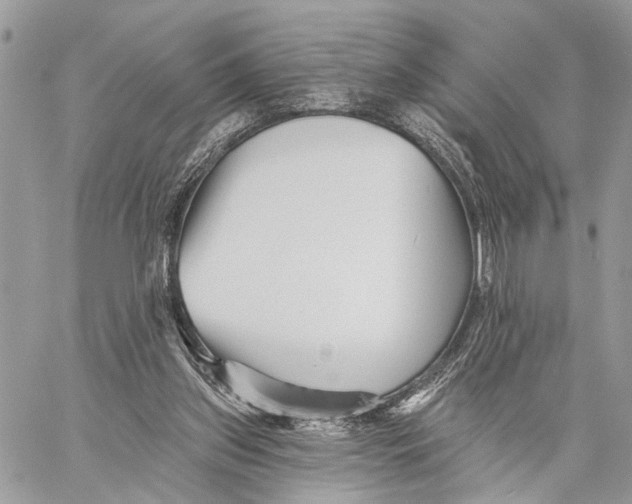 X0000058770157200510211732