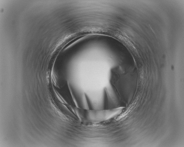 X0000058770160200510211732